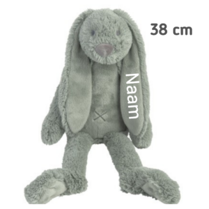 Knuffel met naam Rabbit Richie 38 cm Green