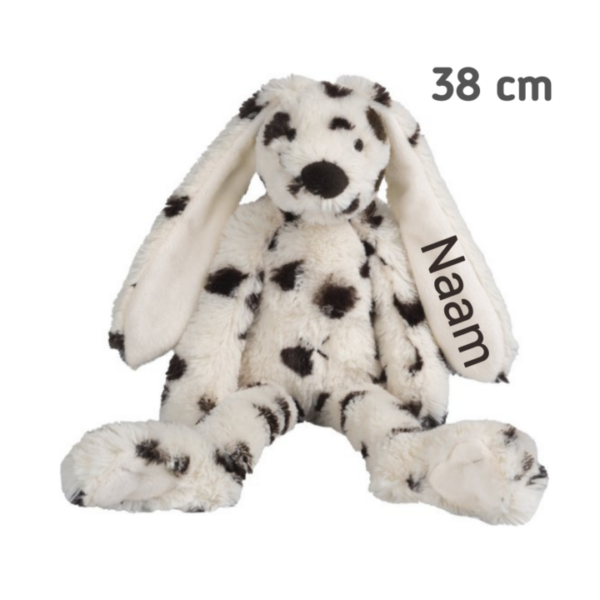 Knuffel met naam Rabbit Richie 38 cm special