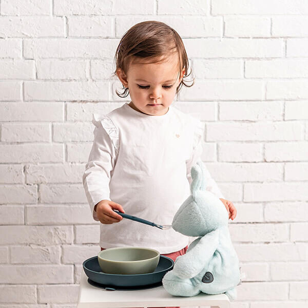 Kinderservies siliconen rose inclusief siliconen slabber